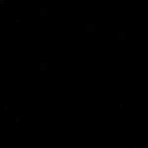 Meet your Posher, Isabella